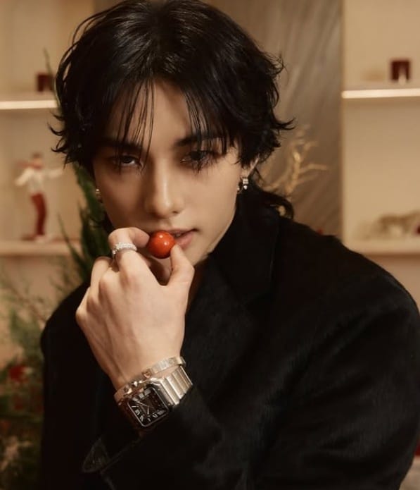 Hyunjin (Stray Kids)