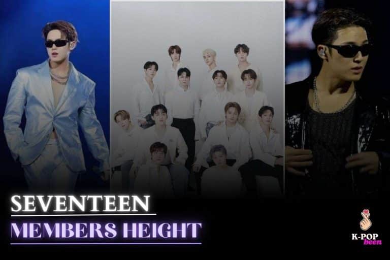 Seventeen Members Height